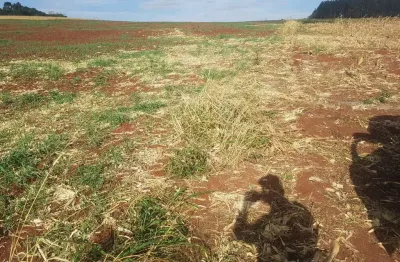 Chácara / sítio à venda na Bairro Ouro Verde, Ouro Verde, Tuneiras do Oeste