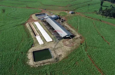 Fazenda à venda no Centro, Guaraniaçu 