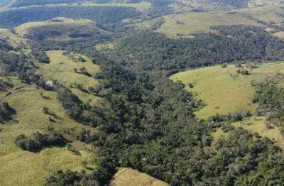 Chácara / sítio com 1 quarto à venda na Ivan Ferreira Do Amaral, S/N, Centro, Guaraniaçu