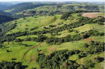 Chácara / sítio com 1 quarto à venda na Avenida Paraná, S/N, Centro, Campo Bonito