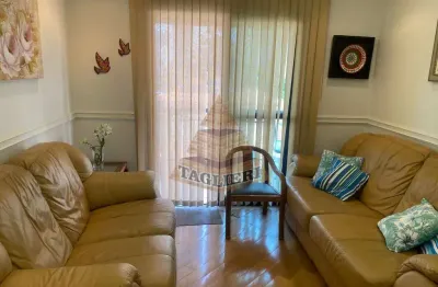 Apartamento com 3 quartos para alugar no Tatuapé, São Paulo 