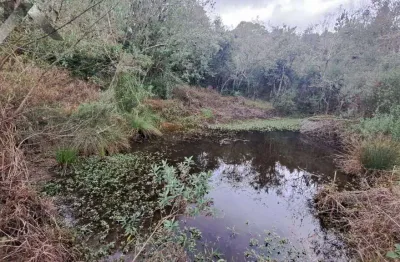 Chácara / sítio com 2 quartos à venda na Rodovia Pr 281 Km, SEM, Tabatinga, Tijucas do Sul