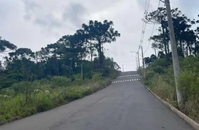 Lote no loteamento jardim europa,  vila olinda, nova petrópolis/rs