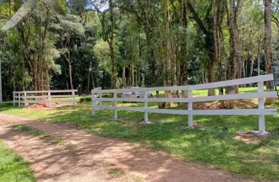 Chácara / sítio à venda na Estrada Da Guapiara, Areia Branca dos Assis, Mandirituba