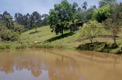 Chácara / sítio com 4 quartos à venda na Br 116, Areia Branca dos Assis, Mandirituba