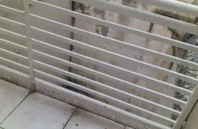 Casa com 2 quartos à venda na Vila Mirante, São Paulo 