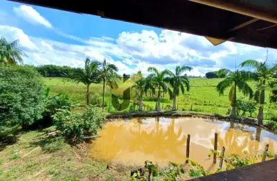 Sítio à venda em caconde - são paulo, casa sede com 4 dormitórios, 2 banheiros, adega.