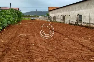 Terreno à venda na Rua José Daux, --, Canasvieiras, Florianópolis