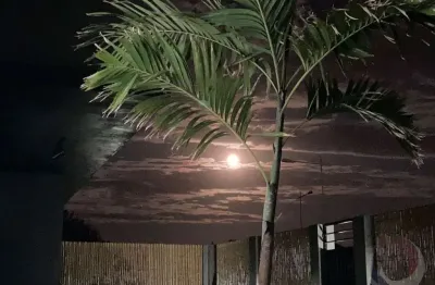 Casa com 4 quartos à venda na Rodovia Doutor Antônio Luiz Moura Gonzaga, --, Rio Tavares, Florianópolis