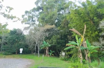 Terreno em condomínio fechado à venda na Rodovia Doutor Antônio Luiz Moura Gonzaga, --, Rio Tavares, Florianópolis