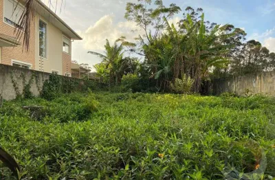 Terreno à venda na Rua Maestro Manoel Pernes da Silva, --, Santa Mônica, Florianópolis
