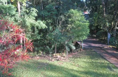 Terreno à venda na Servidão João Francisco Garcez, --, Lagoa da Conceição, Florianópolis