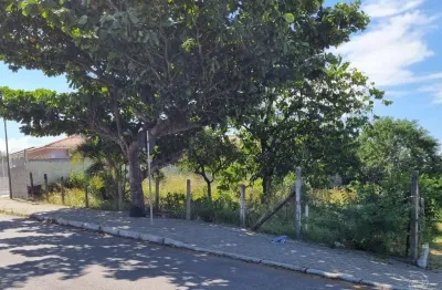 Terreno à venda na Rua João de Barro, --, Serraria, São José