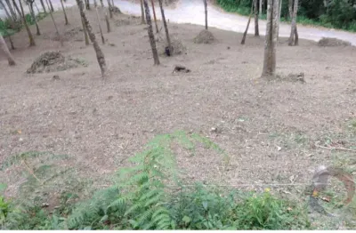 Terreno em condomínio fechado à venda na Rua Do Cafezeiro, --, Varginha, Santo Amaro da Imperatriz
