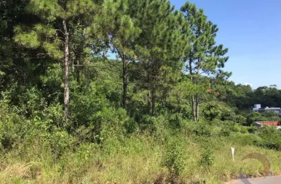 Terreno à venda na Rodovia Admar Gonzaga, --, Itacorubi, Florianópolis