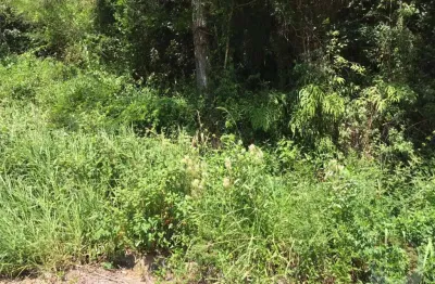 Terreno à venda na Rodovia Admar Gonzaga, --, Itacorubi, Florianópolis