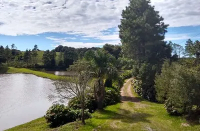 Sítio/fazenda de 76216.5m² no bairro rancho queimado