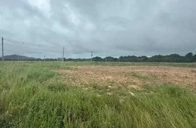 Terreno à venda na Rodovia Armando Calil Bulos, --, Vargem do Bom Jesus, Florianópolis