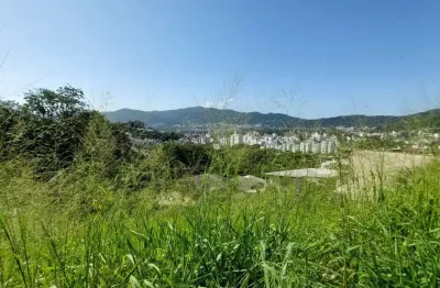 Terreno à venda na Servidão Maria Rosa Martins, --, Trindade, Florianópolis