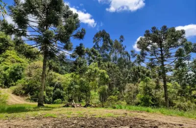 Terreno à venda na Rio Do Coxo - Mato Frances, --, Centro, Rancho Queimado