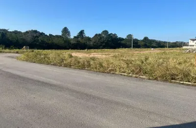 Terreno à venda na Rodovia Armando Calil Bulos, --, Vargem Grande, Florianópolis
