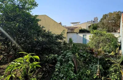 Terreno à venda na Rua Professor José Brasilicio de Souza, --, Trindade, Florianópolis