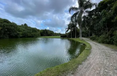 Terreno à venda na Estrada Dário Manoel Cardoso, --, Ingleses do Rio Vermelho, Florianópolis