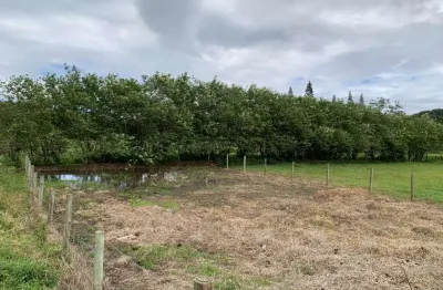 Terreno à venda na Rodovia Baldicero Filomeno, --, Ribeirão da Ilha, Florianópolis