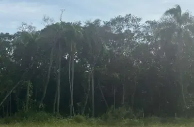 Terreno à venda na Rua Vidal Vicente Andrade, --, Sertão do Maruim, São José