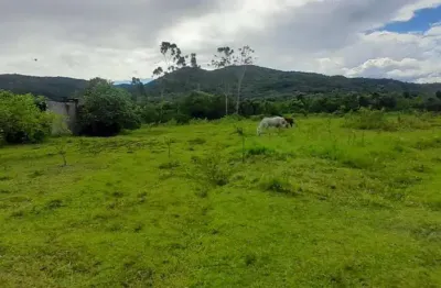 Terreno com 5.280m² no bairro ratones em florianópolis