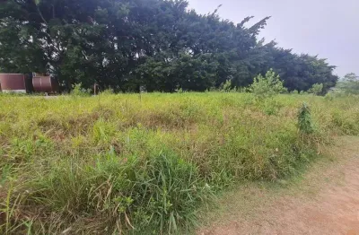 Terreno à venda na Sebastião Alezemiro Dos Santos, --, Bela Vista, Palhoça