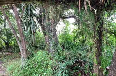 Terreno à venda na Avenida dos Salmões, --, Jurerê Internacional, Florianópolis