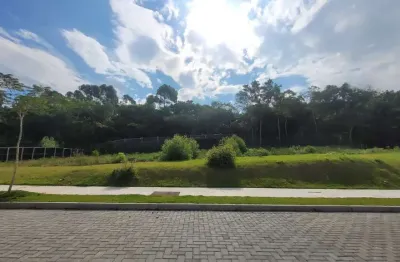 Terreno com 361,72m² em loteamento planejado no campeche