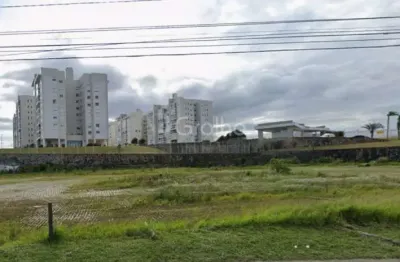 Terreno à venda na Rua Heriberto Hulse, --, Serraria, São José