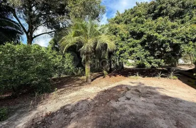 Terreno à venda na Rua Mané Vicente, --, Monte Verde, Florianópolis