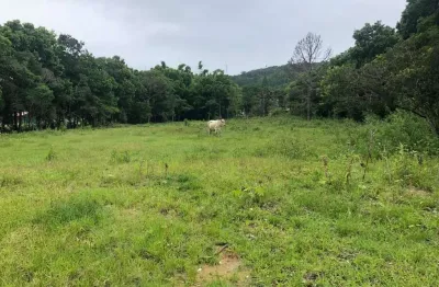 Terreno de 51.254,02m² à venda no bairro vargem pequena