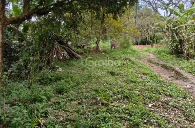 Terreno à venda na Rua Rosa, --, Pantanal, Florianópolis