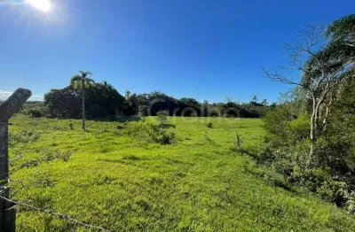 Terreno à venda na Rodovia Aparício Ramos Cordeiro, --, Tapera, Florianópolis