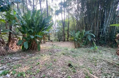 Terreno à venda na Servidão Alcides Anacleto Vieira, --, Pantanal, Florianópolis