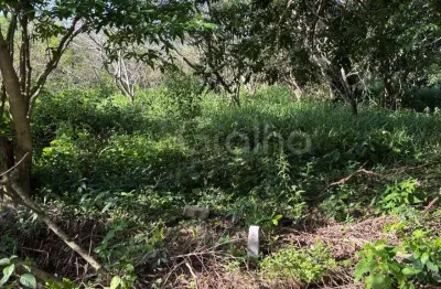 Terreno à venda na Pedro Manoel Borba, --, Açores, Florianópolis