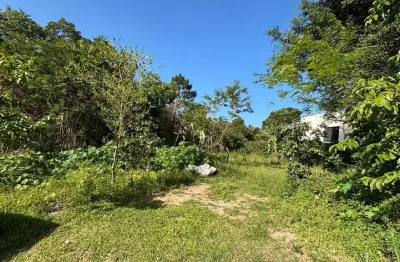 Terreno à venda na Servidão Pedro Manoel Borba, --, Açores, Florianópolis