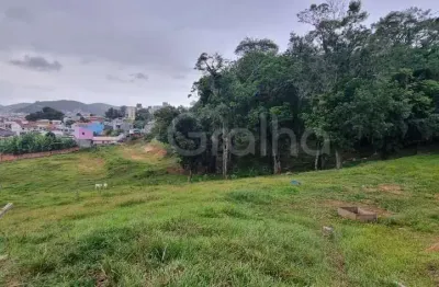 Terreno à venda na rodovia sc-281, --, picadas do sul, são josé por r$ 11.000.000
