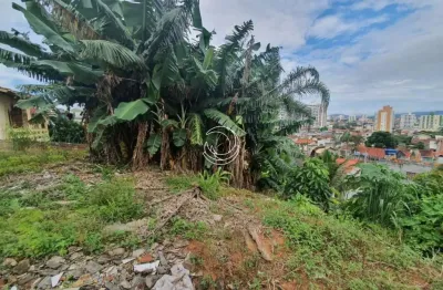 Terreno à venda na Rua Manoel Loureiro, --, Barreiros, São José