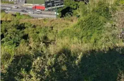 Terreno à venda na Rodovia BR-101, --, Picadas do Sul, São José