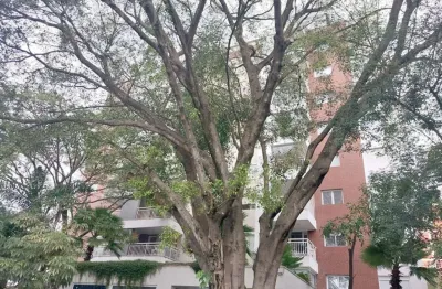 Apartamento com 1 quarto para alugar na rua fidalga, --, vila madalena, são paulo, 74 m2 por r$ 5.500