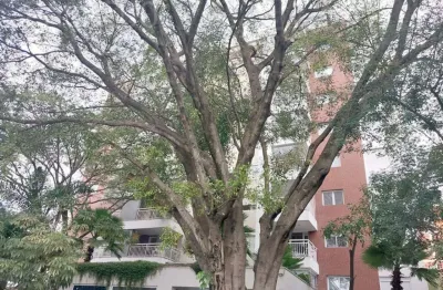 Apartamento com 1 quarto para alugar na rua fidalga, --, vila madalena, são paulo, 74 m2 por r$ 5.500