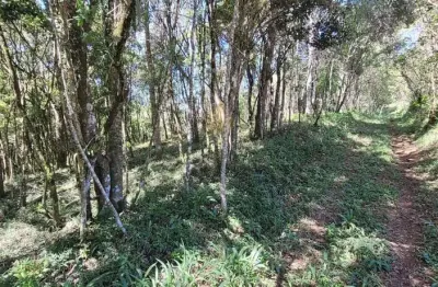 Chácara à venda, com 70153 m2, em sao jose dos pinhais - pr