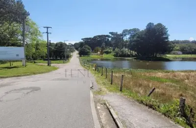 Chácara / sítio com 1 quarto à venda na Rua Domingos Valaski 999, Zona Rural, São José dos Pinhais