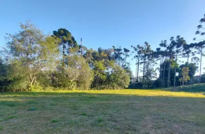 Terreno à venda, 1.060 m2 por r  559.000,00 - rondinha - campo largo pr