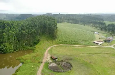 Fazenda à venda, 6.848.600.00 m2, colônia murici, sao jose dos pinhais - pr